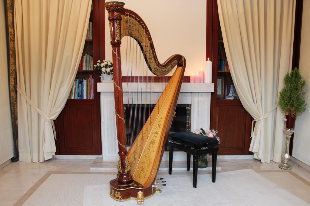 Harfe in Wohnzimmer vor Kamin